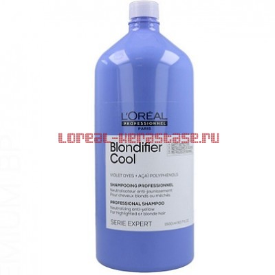 Loreal Blondifier Cool shampoo  1500 